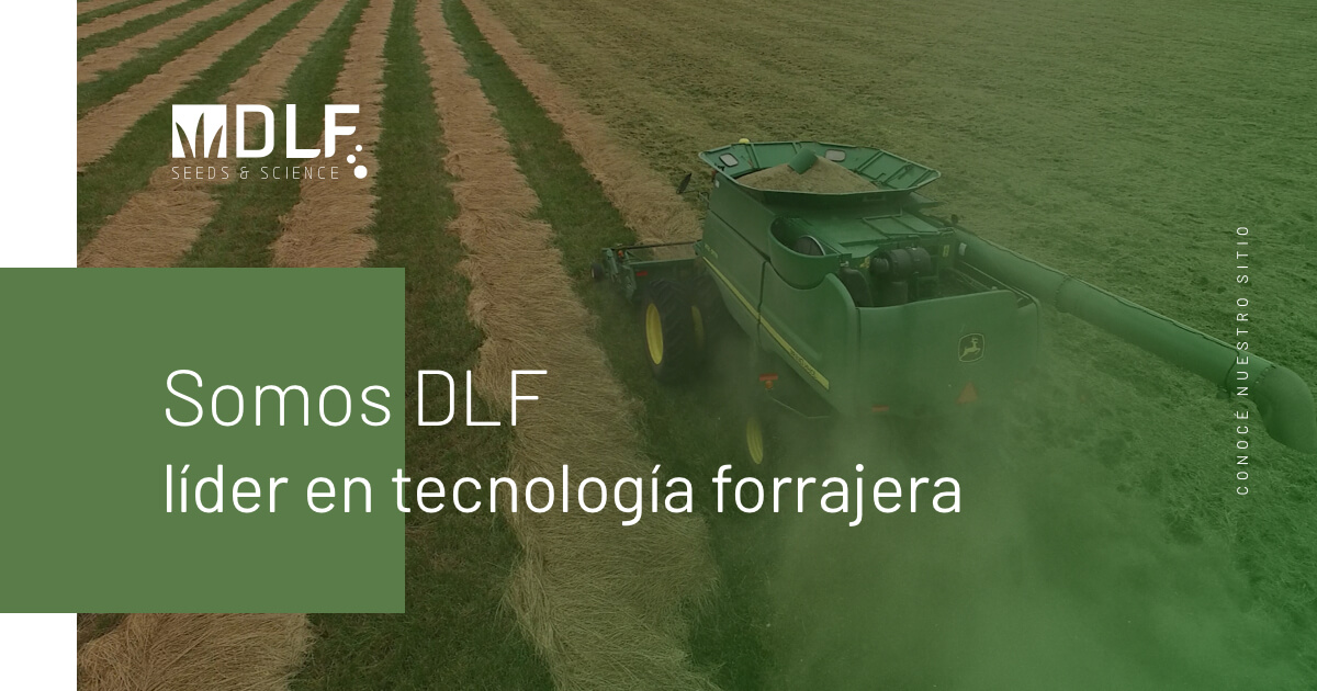 DLF, líder en tecnología forrajeras